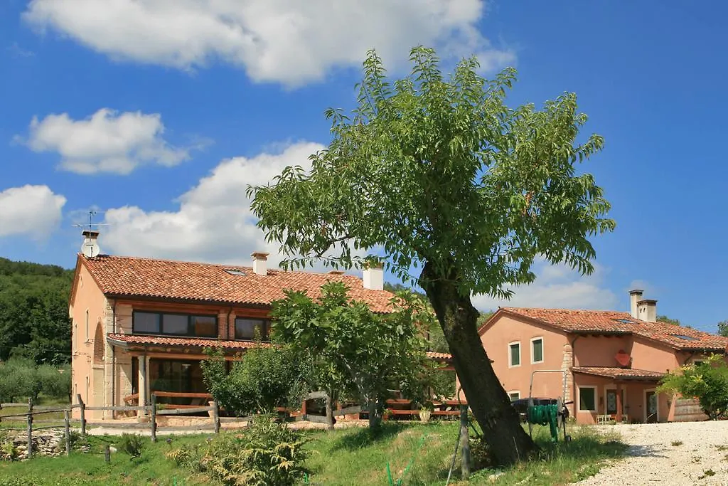 Farm stay Agriturismo Monte Degli Aromi Villa Villaga Italy